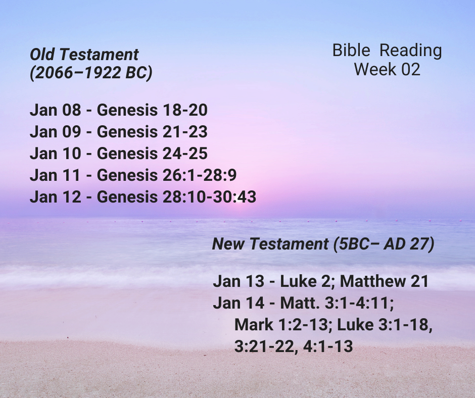 2024 Bible Plan - Week 2