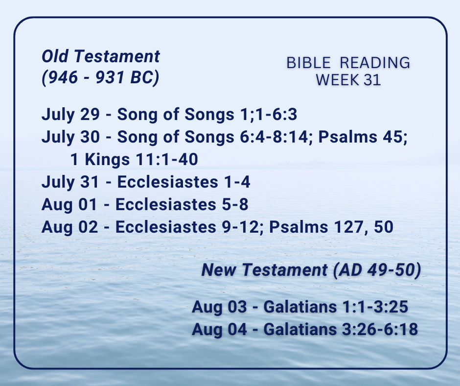 2024 Bible Plan - Week 31