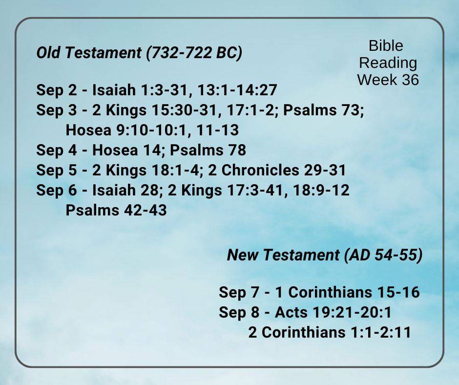 2024 Bible Plan - Week 36