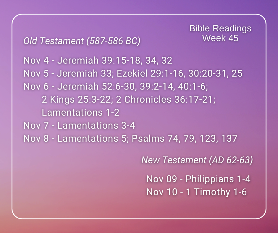 2024 Bible Plan - Week 45