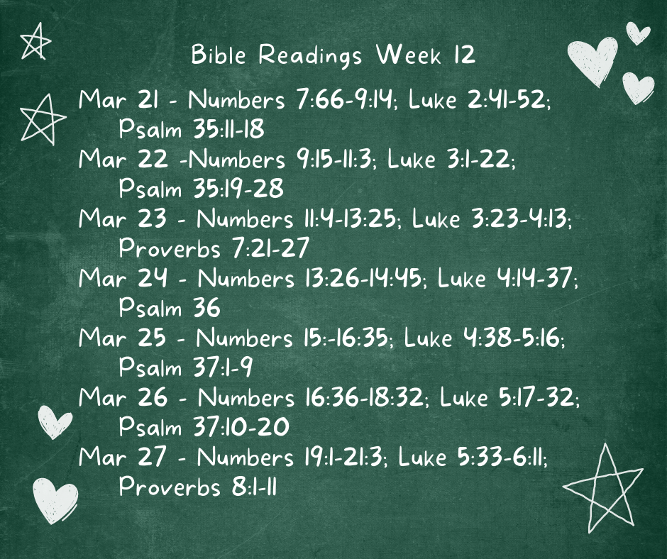 Bible Reading Week 12