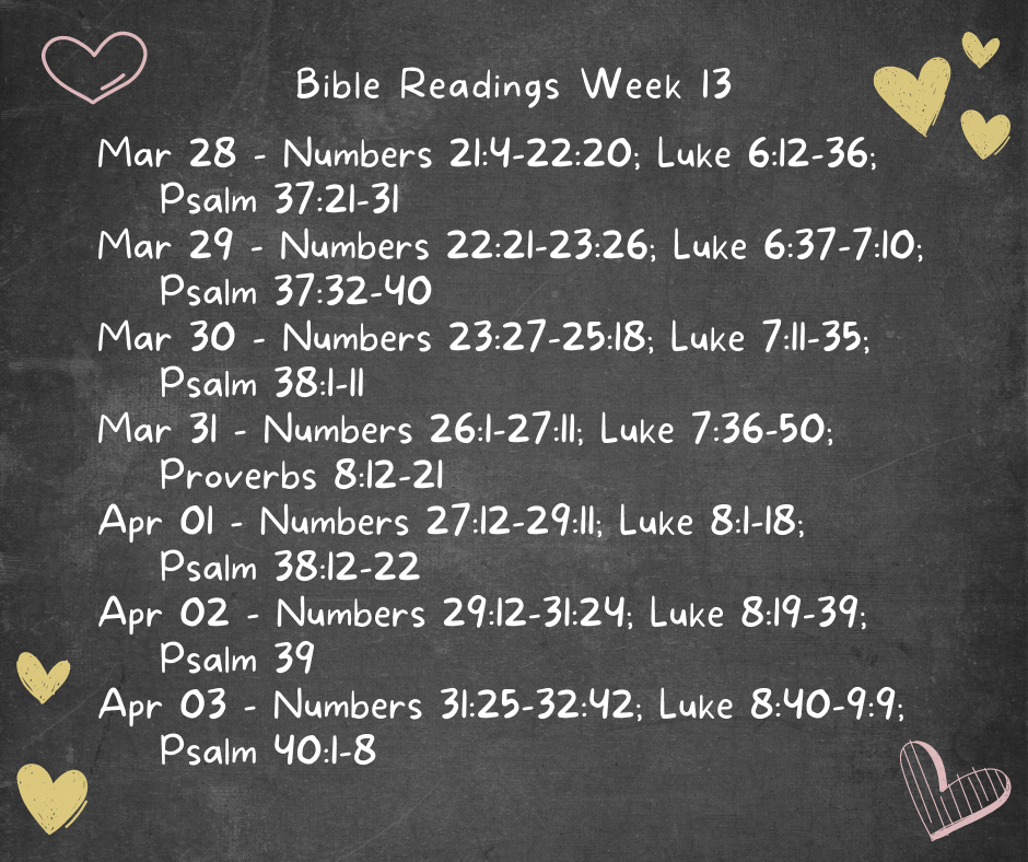 Bible Reading Week 13